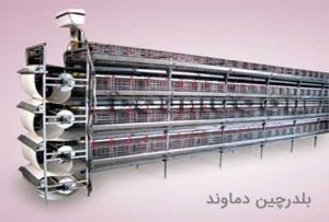 قفس اتوماتیک بلدرچین