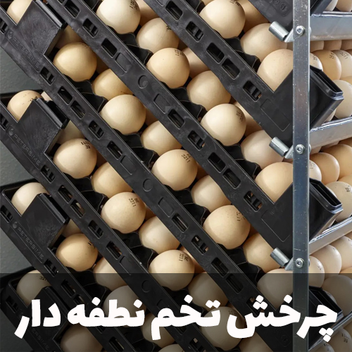 چرخش تخم نطفه دار در جوجه کشی