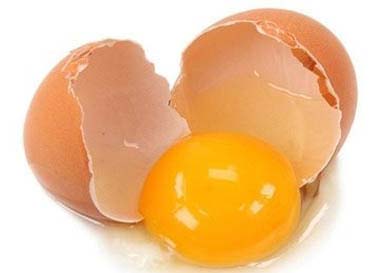 تشخیص کیفیت تخم مرغ