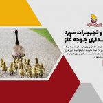 امکانات و تجهیزات مورد نیاز نگهداری جوجه غاز