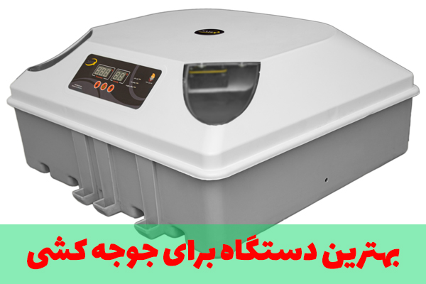 بهترین دستگاه برای جوجه کشی