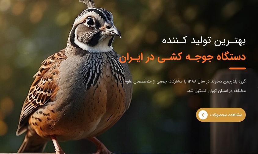 دستگاه جوجه کشی