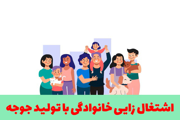 اشتغال زایی خانوادگی با تولید جوجه یکروزه