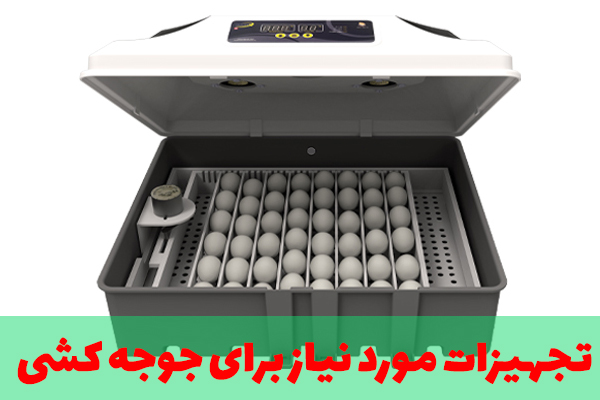 تجهیزات مورد نیاز برای جوجه کشی