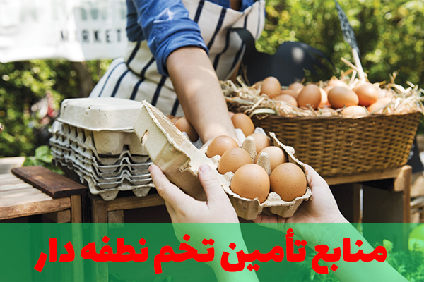 خرید و تهیه تخم نطفه دار