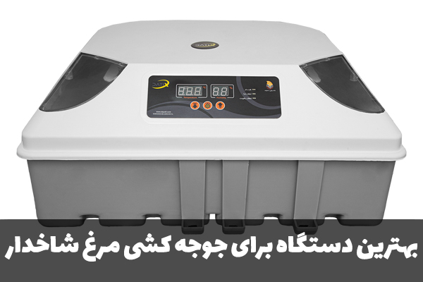 بهترین دستگاه برای جوجه کشی مرغ شاخدار