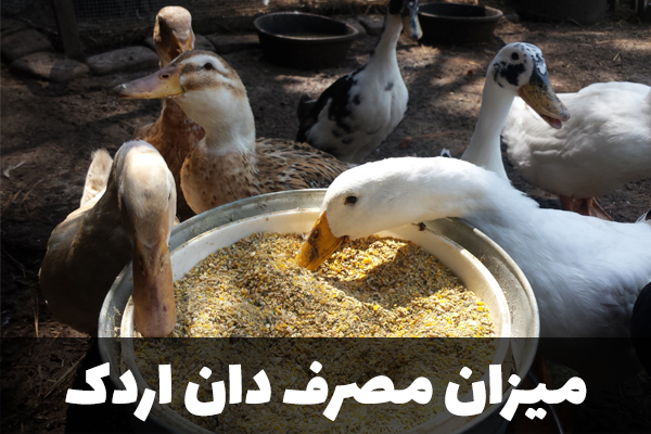 میزان مصرف دان اردک