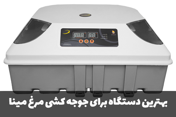 بهترین دستگاه برای جوجه کشی مرغ مینا