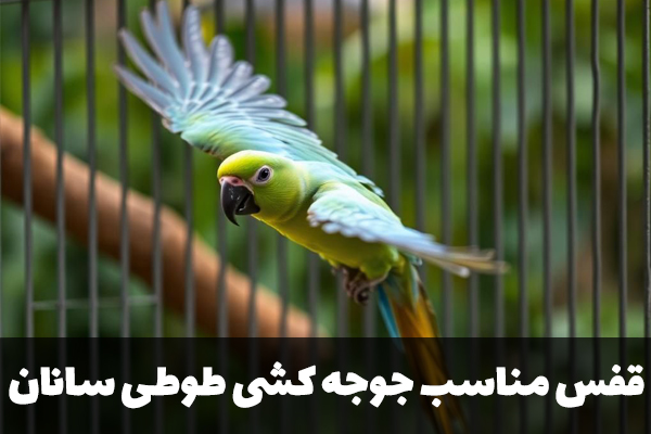 قفس مناسب جوجه کشی طوطی سانان
