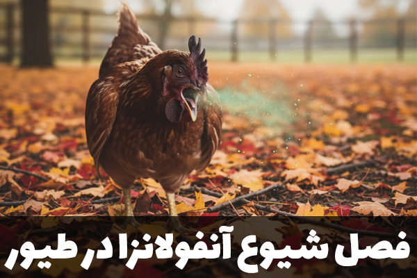 فصل شیوع آنفولانزا طیور