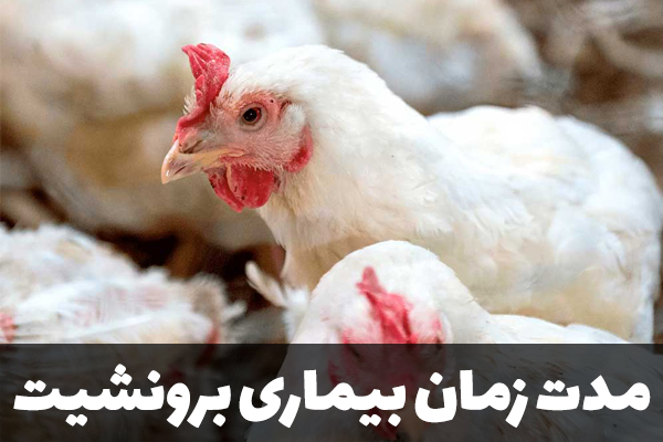 مدت زمان بیماری برونشیت
