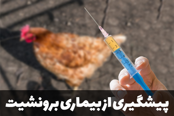 پیشگیری از بیماری برونشیت
