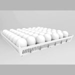 شانه جوجه کشی طرح آرکام