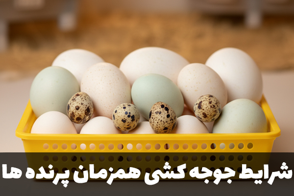شرایط جوجه کشی از چند نوع پرنده به صورت همزمان