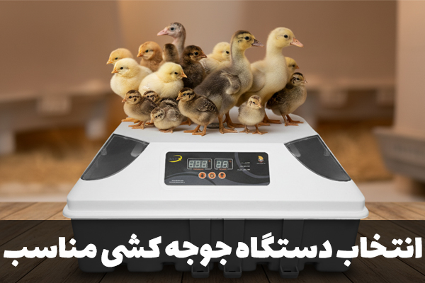 دستگاه جوجه کشی مناسب چند پرنده