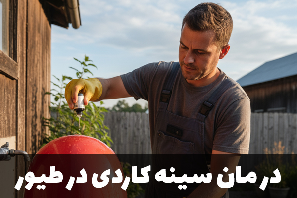 درمان سینه کاردی طیور