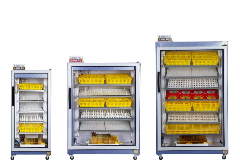 راه اندازی دستگاه جوجه کشی